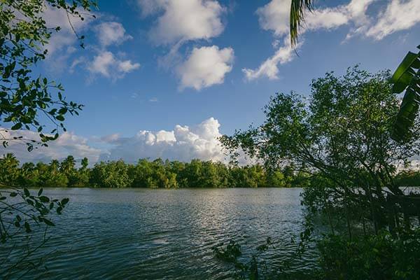 意甲焦点战 ｜ 巴萨对阵勇士，更衣室气氛被提及，詹姆斯带来讨论，不少球迷开始复盘